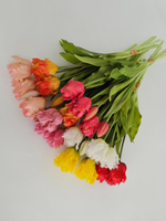 Тюльпаны бахромчатые / Арт 2546