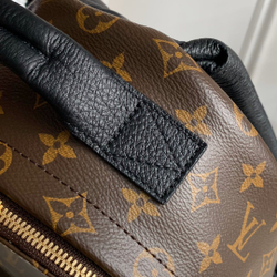 Louis Vuitton Palm Springs PM