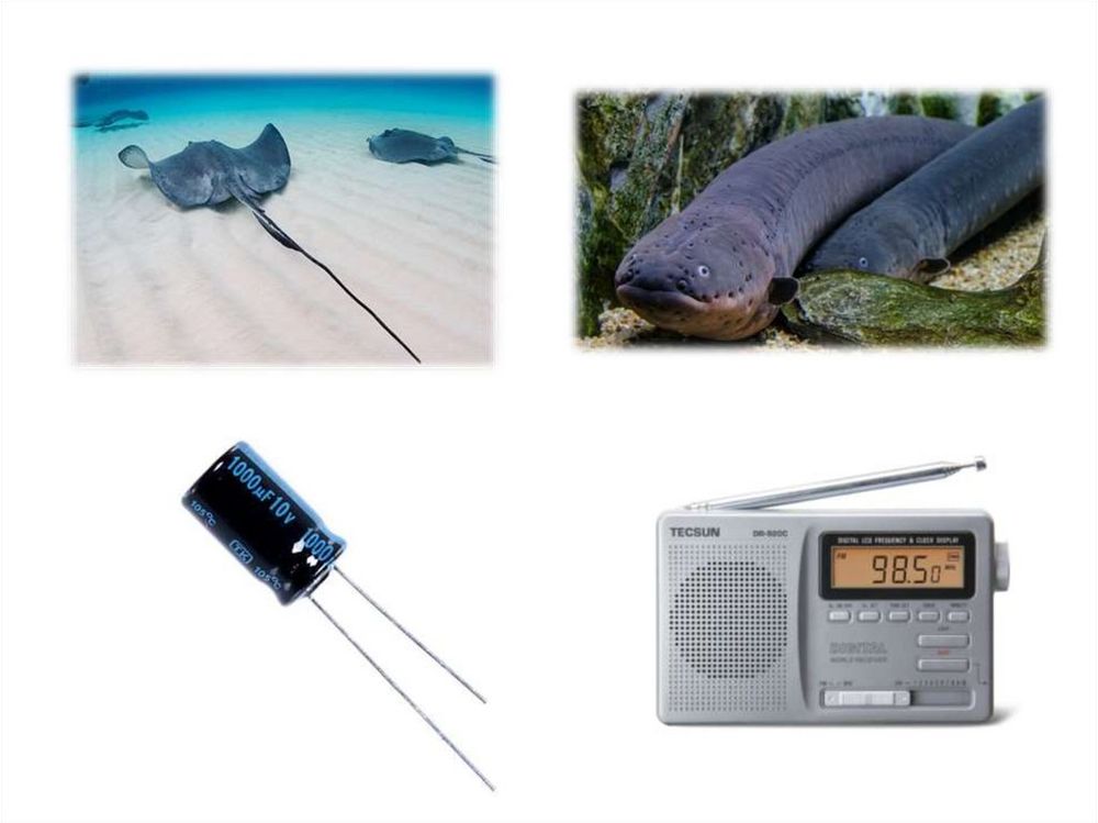 Набор демонстрационный Электрическая емкость — купить по ФГОС | Учебный стандарт