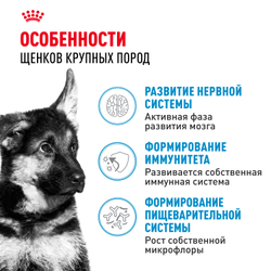 Royal Canin Maxi Puppy Корм сухой для щенков крупных размеров в возрасте до 15 месяцев - 3 кг