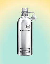 Montale Fougeres Marine