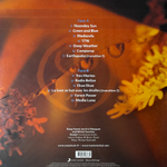 Deep Forest III ‎– Comparsa (Голландия 2024г.) Green