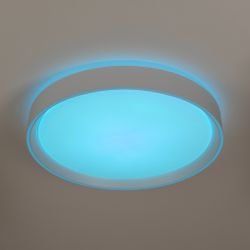 Citilux BOSS CL751350G LED RGB Светильник с пультом Белый