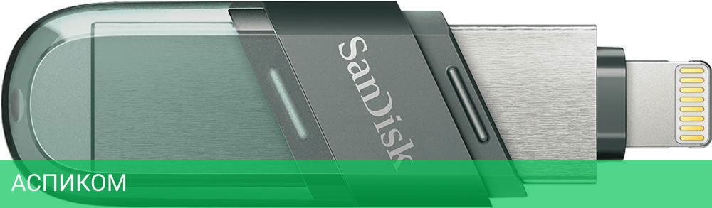 USB Flash-накопитель SanDisk SDIX90N-256G-GN6NE 256GB