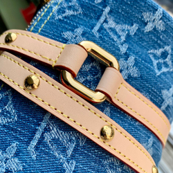 Louis Vuitton Papillon Bag