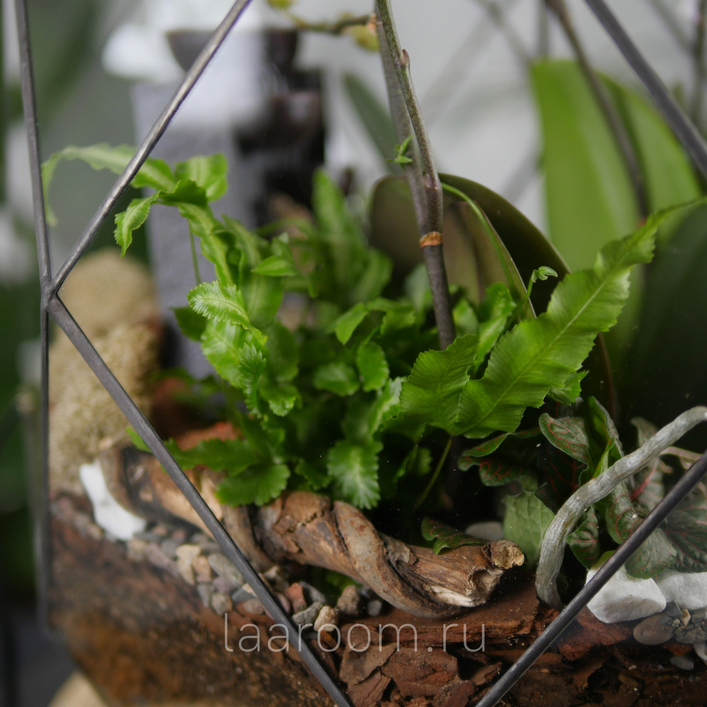 Флорариум с орхидеей и водопадом Будда Фаберже