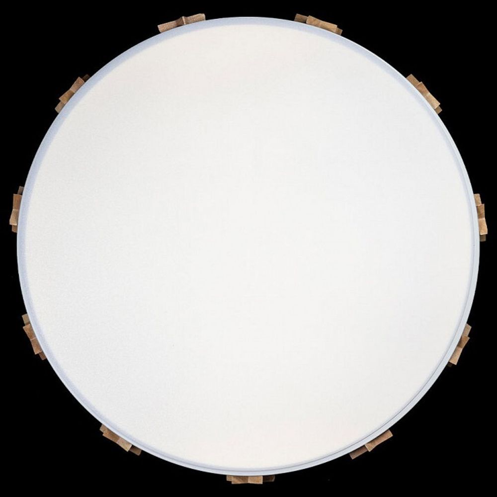 Накладной светильник Loft it Axel 5 10006/36 White