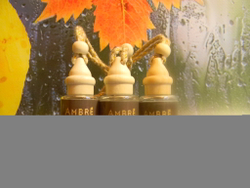 Автопарфюм Ambre men 12 ml
