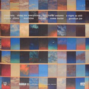 Tindersticks / The Something Rain (LP)