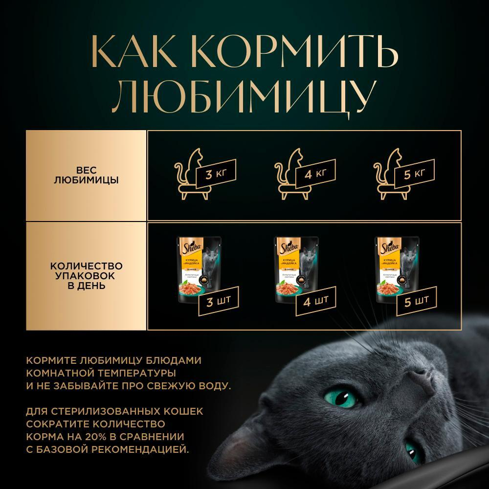 Ломтики Курица и Индейка корм влажный для кошек Sheba 75г