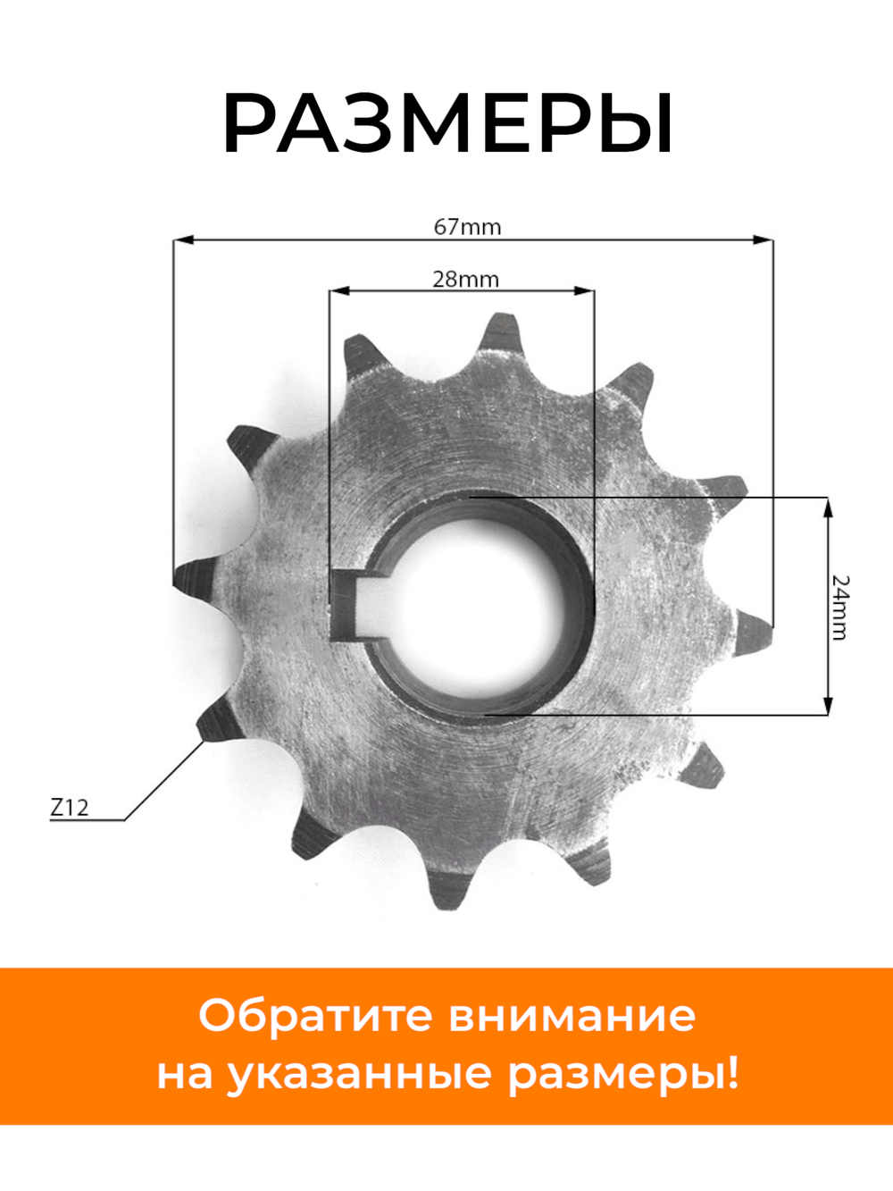 KR-003-T15-Photoroom (1)