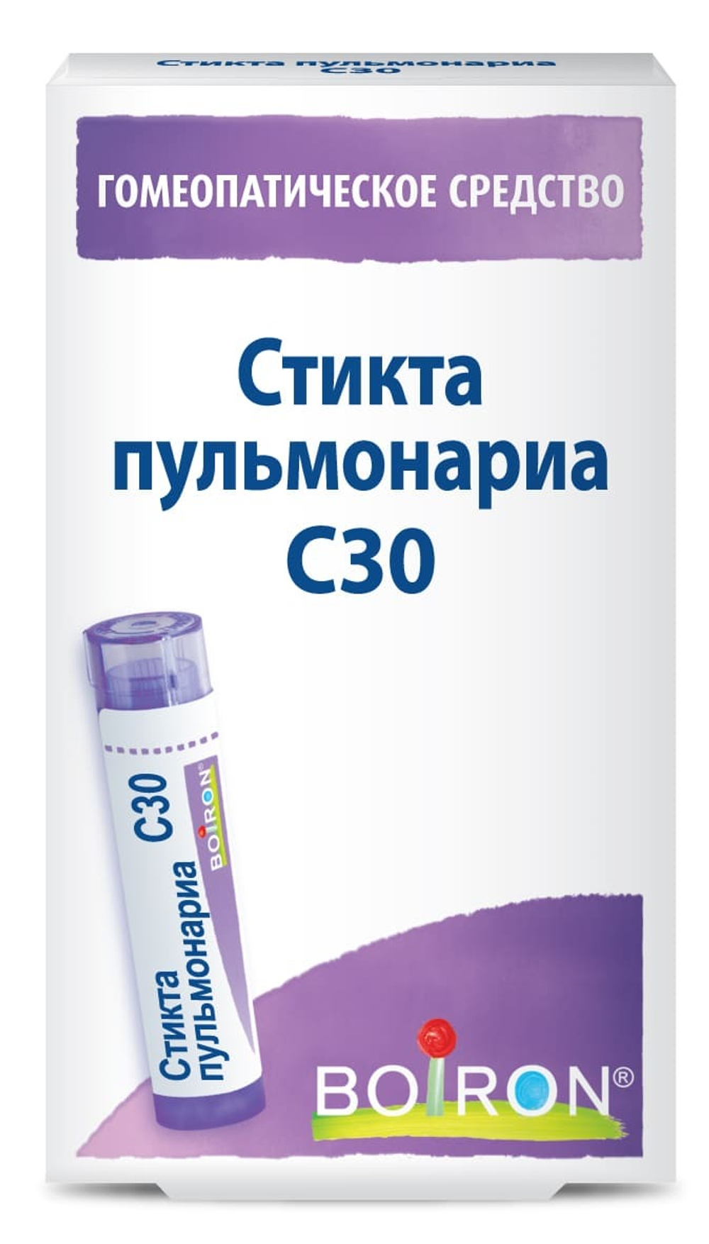 Стикта пульмонариа (Sticta pulmonaria) C30 Буарон