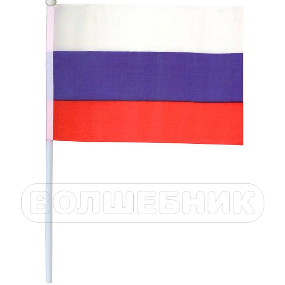 Флаг Россия, 20*30 см #712006