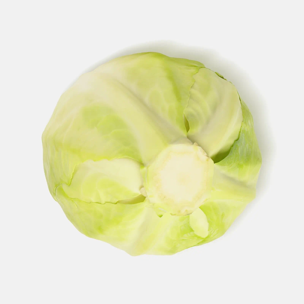 Капуста белокочанная