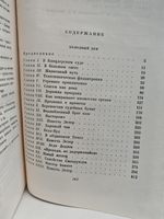 Чарльз Диккенс. Собрание сочинений в тридцати томах. Том 17-18. Холодный дом
