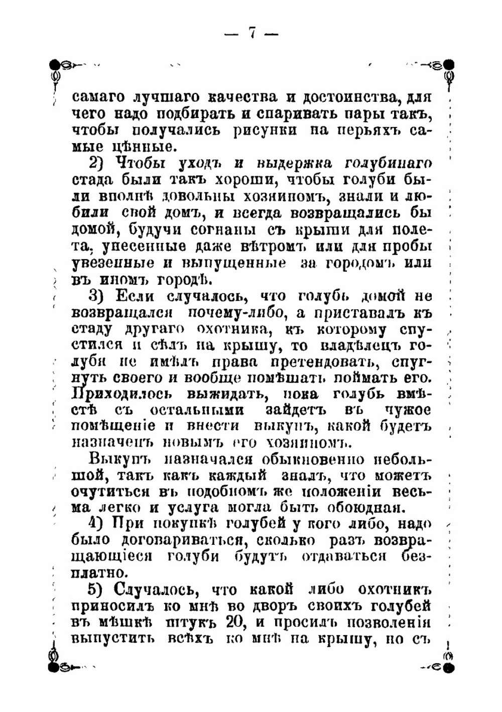 "Голубиный охотник" | Пальцев Василий Михайлович