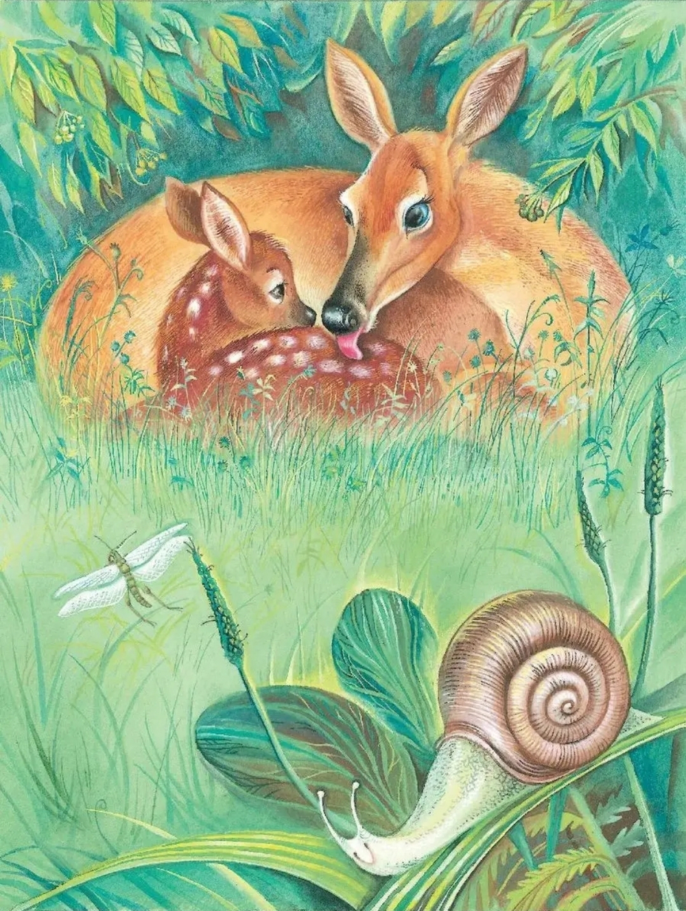 Бемби. Книга с крупными буквами