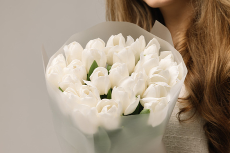 Моно-букет 25 белых тюльпанов