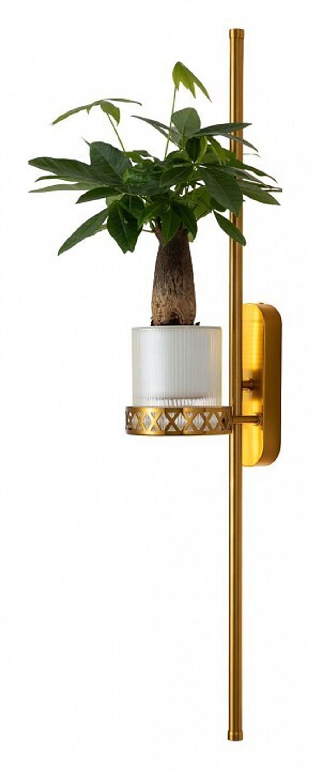 Бра Favourite Greenery 4050-2W