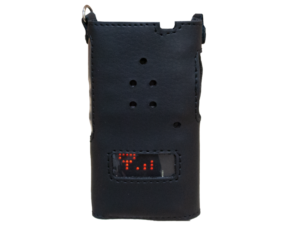 Чехол Аргут CH-24