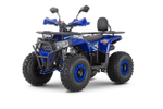 Квадроцикл WELS Thunder Trail 125 Pro