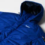 Пуховик Dissident "DD23" Синяя