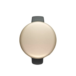 Brabantia NewIcon Контейнер для мусора Gold Metalic, 12 л.
