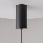 Подвесной светильник Maytoni P022PL-L10B