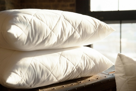 Подушка антиаллергенная 70х70 German Grass 95C