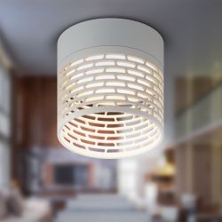 Светильник настенно-потолочный спот ЭРА OL53 WH под лампу GX53 белый IP20 | Накладные светильники