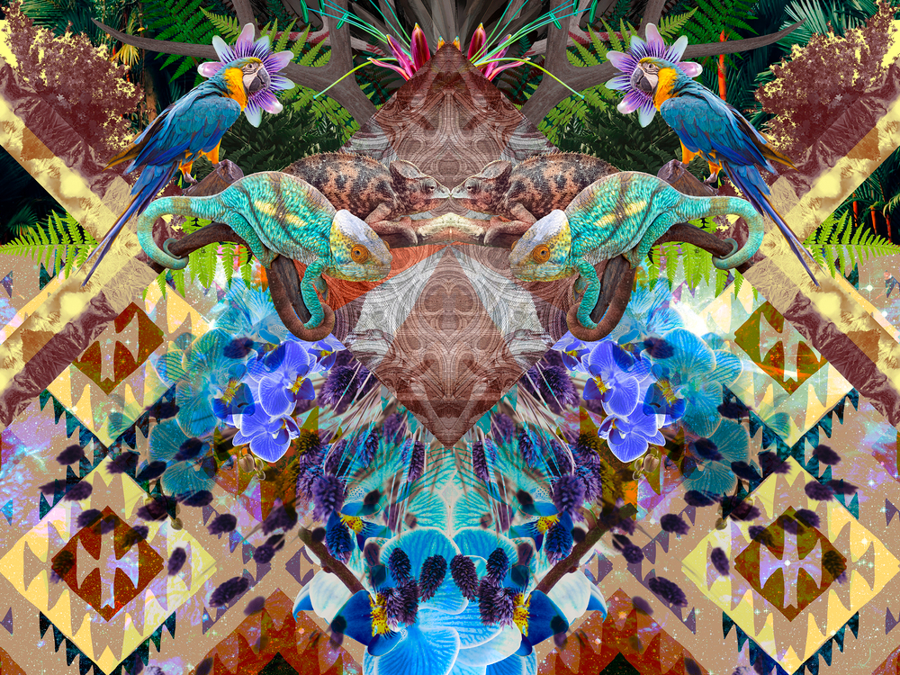 Коллекция GEOTROPICK