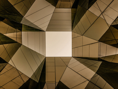 Дизайнерские обои Wall Street Bird see