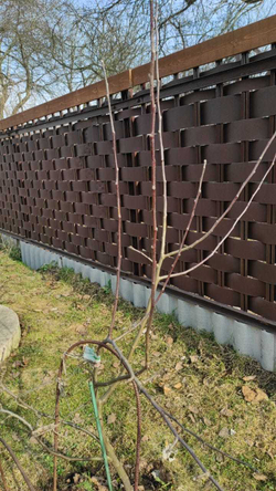 Лента заборная шириной 200 мм (195мм), толщина 2мм, в рулоне 10метров, коричневый