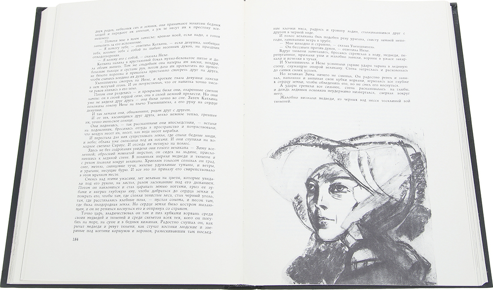 Легенда об Уленшпигеле и Ламме Гудзаке их приключениях отважных, забавных и достославных