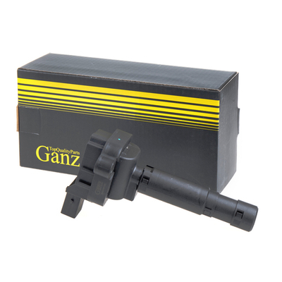 Катушка зажигания MB W204/W212 mot.M271 GANZ GIG16129