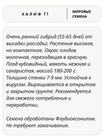 Семена перец Халиф F1 сладкий, 7 семян (Vita Green / Вита Грин)