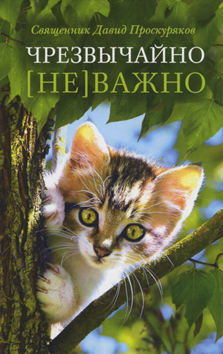 Чрезвычайно [не]важно. Сборник рассказов (Сретенский м.) (священник Давид Проскуряков)
