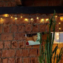 ULD-S2000-200-DGA COPPER IP20 Гирлянда светодиодная. 20м. 200 светодиодов. Медный свет. Провод зеленый. ТМ Uniel