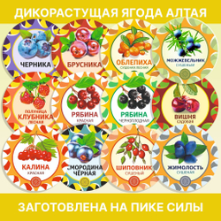 Пижма, пучок (1 шт.)  ПЖПЧ-00-001