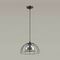 Подвесной светильник Lumion Suspentioni Shelby 3713/1A