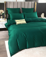 Комплект постельного белья Однотонный Сатин Элитный OCE018