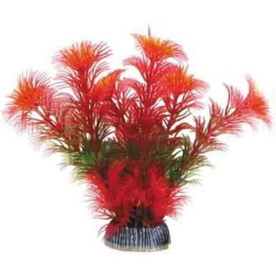 Растение "Амбулия", красное, 100мм, Laguna AQUA