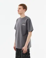 Футболка Anteater Phat 480 серая