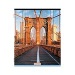 Тетради предметные, КОМПЛЕКТ 12 ПРЕДМЕТОВ, КЛАССИКА NEW, 48 л., обложка картон, BRAUBERG, 404322