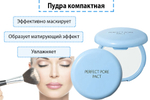 Компактная матирующая пудра The Saem Saemmul Perfect Pore Pact