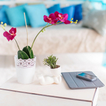 Набор для выращивания eco Мечтатель