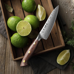 Кухонный нож Hezhen X02M Utility нож 5 дюймов клинок 67 Layers Damascus рукоять микарта, длина лезвия 13,5 см