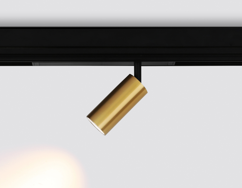 Светильник светодиодный диммируемый для шинопровода Magnetic 220V GL1213 GD золото IP20 12W 3000K-6400K 36° D45*100