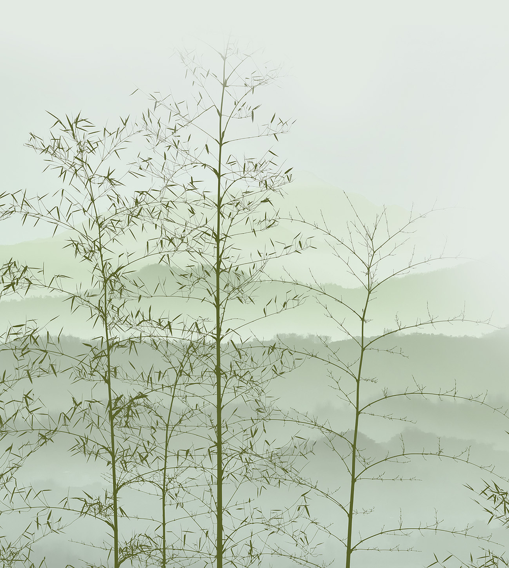 Коллекция GREENDAY