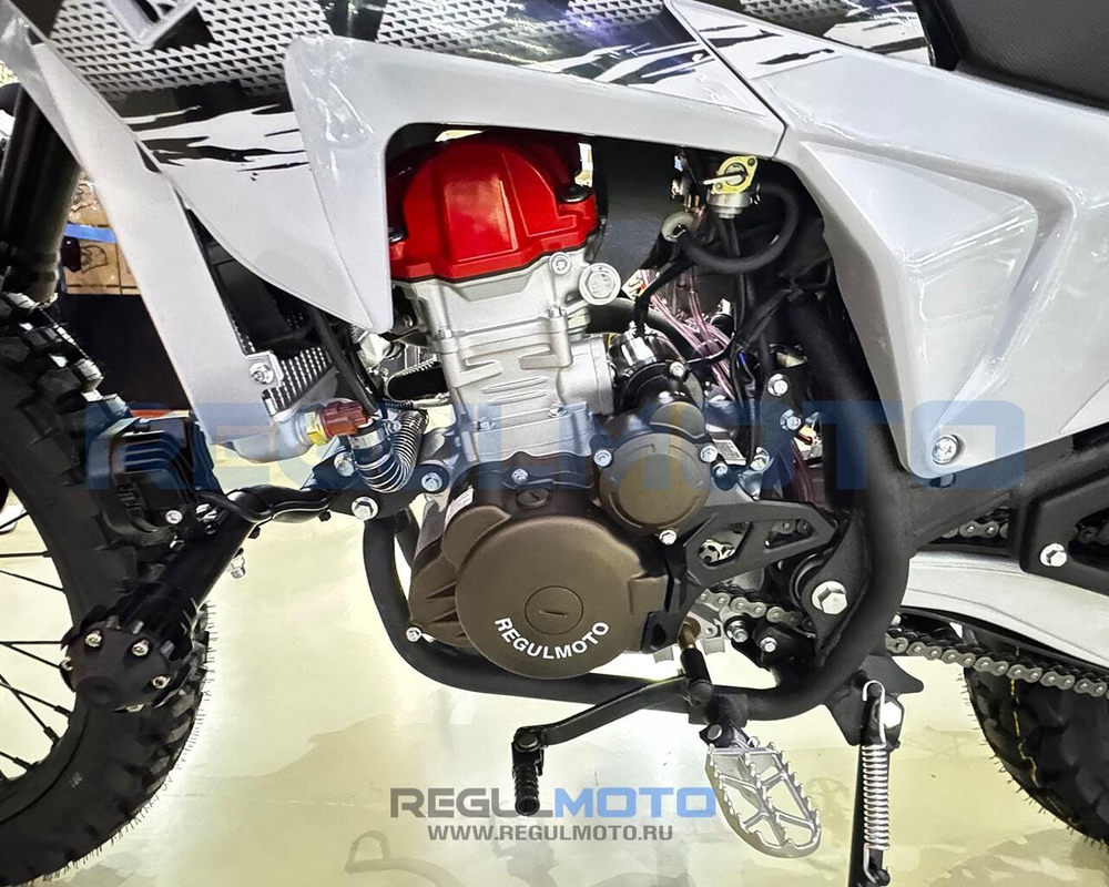 Мотоцикл Regulmoto TE PRO NB300